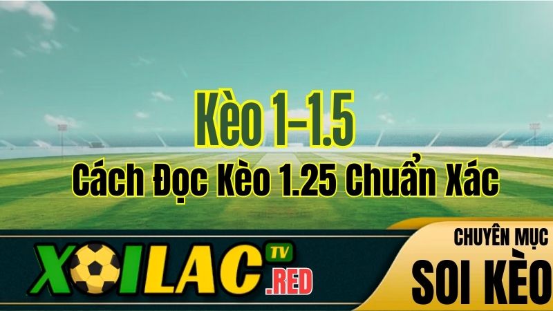 Kèo 1-1.5 Là Sao? Cách Đọc Kèo 1.25 Chuẩn Xác Từ Xoilac TV